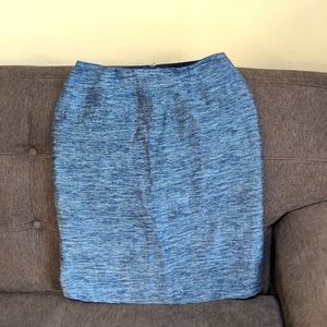 Blue Dana Buchman Petite Skirt - 2P